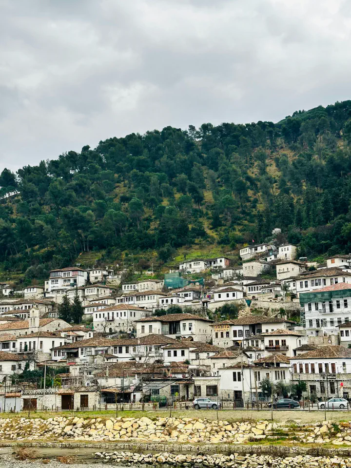 Panoramic view of buildings and forest in Barat, Albania.