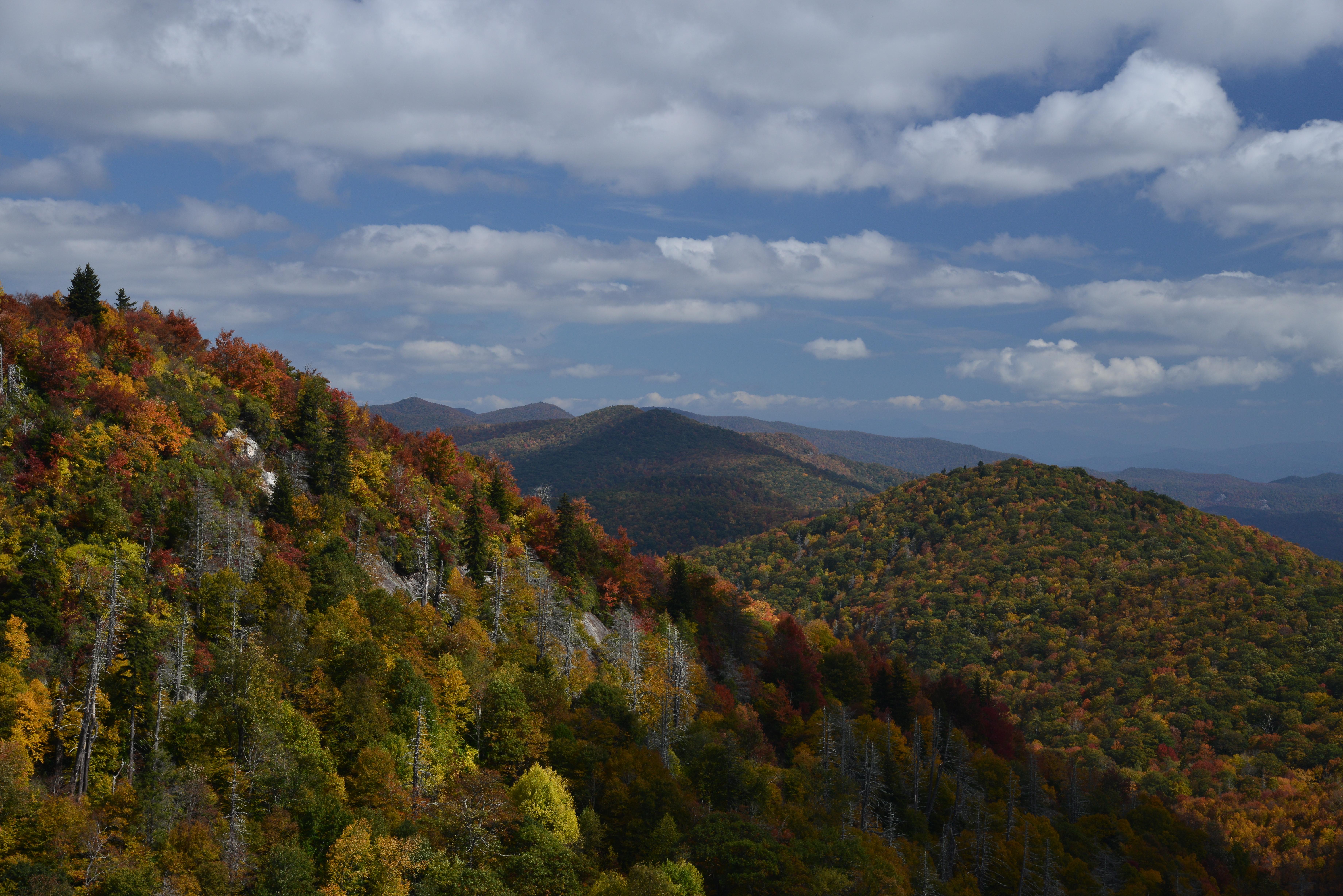 Beautiful fall colors along the Blue Ridge Parkway. Credit: NPS/A. Armstrong.
