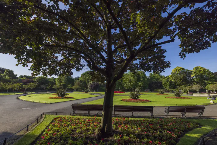 Grass and trees at St Stephen