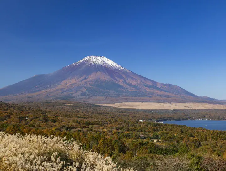Vegetation, lake, and Mt. Fuji, Japan.